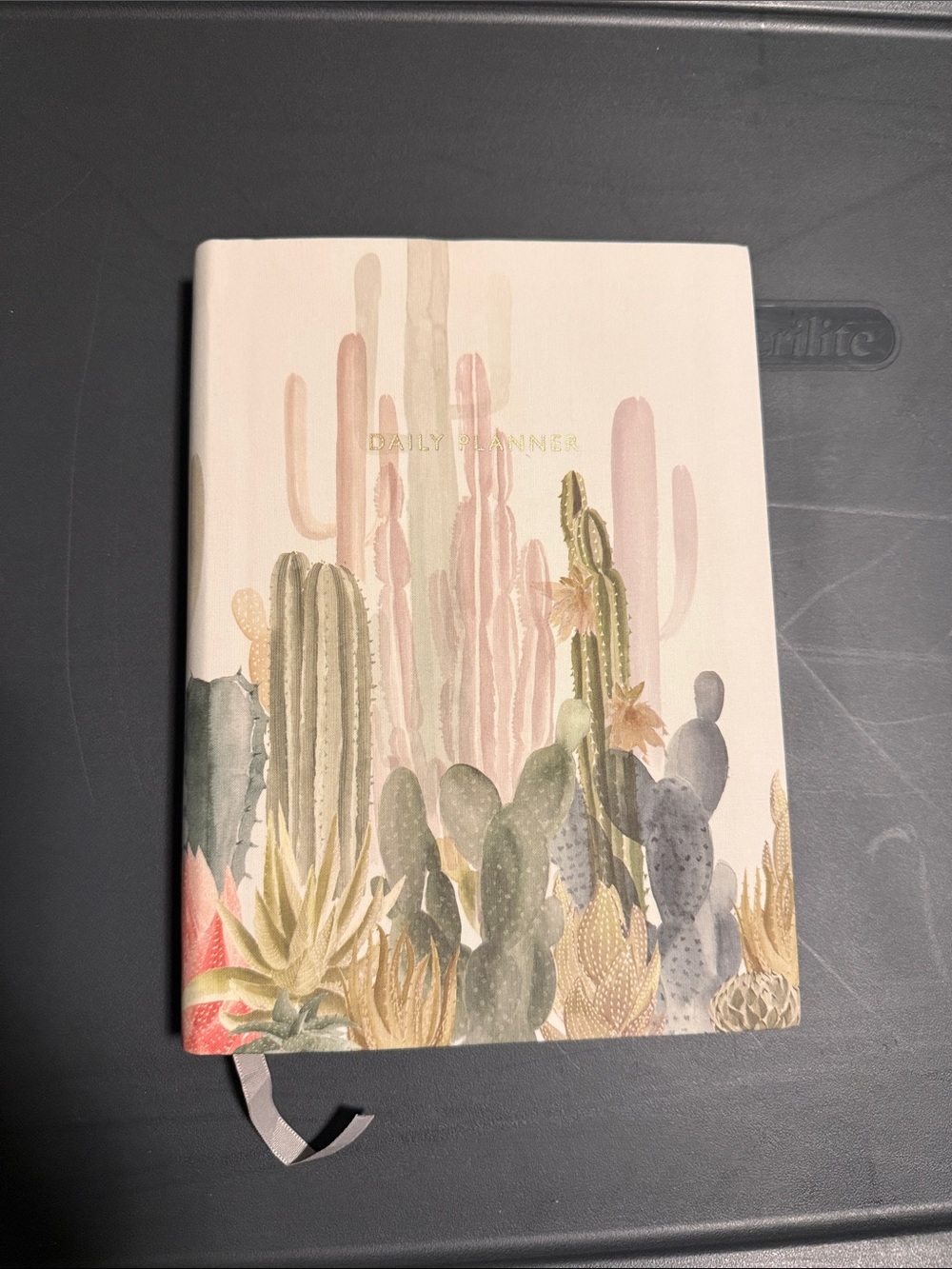 Daily Planner - Cactus Watercolor Design, Cream/Pastel